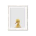 Picture of Baby Duck  _GroupedProduct_Rectangle_Portrait_Mini_ _GroupedProduct_Rectangle_Portrait_Framed_Matted_