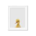 Picture of Baby Duck  _GroupedProduct_Rectangle_Portrait_Mini_ _GroupedProduct_Rectangle_Portrait_Framed_Matted_