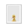 Picture of Baby Duck  _GroupedProduct_Rectangle_Portrait_Mini_ _GroupedProduct_Rectangle_Portrait_Framed_Matted_