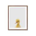 Picture of Baby Duck  _GroupedProduct_Rectangle_Portrait_Mini_ _GroupedProduct_Rectangle_Portrait_Framed_Matted_