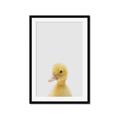 Picture of Baby Duck  _GroupedProduct_Rectangle_Portrait_Mini_ _GroupedProduct_Rectangle_Portrait_Framed_Matted_