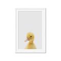 Picture of Baby Duck  _GroupedProduct_Rectangle_Portrait_Mini_ _GroupedProduct_Rectangle_Portrait_Framed_Matted_