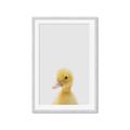 Picture of Baby Duck  _GroupedProduct_Rectangle_Portrait_Mini_ _GroupedProduct_Rectangle_Portrait_Framed_Matted_