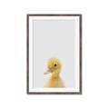 Picture of Baby Duck  _GroupedProduct_Rectangle_Portrait_Mini_ _GroupedProduct_Rectangle_Portrait_Framed_Matted_