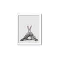 Picture of Bunny Bum  _GroupedProduct_Rectangle_Portrait_Mini_ _GroupedProduct_Rectangle_Portrait_Framed_Matted_