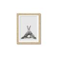 Picture of Bunny Bum  _GroupedProduct_Rectangle_Portrait_Mini_ _GroupedProduct_Rectangle_Portrait_Framed_Matted_