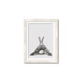 Picture of Bunny Bum  _GroupedProduct_Rectangle_Portrait_Mini_ _GroupedProduct_Rectangle_Portrait_Framed_Matted_