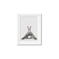 Picture of Bunny Bum  _GroupedProduct_Rectangle_Portrait_Mini_ _GroupedProduct_Rectangle_Portrait_Framed_Matted_