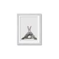 Picture of Bunny Bum  _GroupedProduct_Rectangle_Portrait_Mini_ _GroupedProduct_Rectangle_Portrait_Framed_Matted_