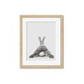 Picture of Bunny Bum  _GroupedProduct_Rectangle_Portrait_Mini_ _GroupedProduct_Rectangle_Portrait_Framed_Matted_