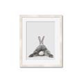 Picture of Bunny Bum  _GroupedProduct_Rectangle_Portrait_Mini_ _GroupedProduct_Rectangle_Portrait_Framed_Matted_