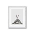 Picture of Bunny Bum  _GroupedProduct_Rectangle_Portrait_Mini_ _GroupedProduct_Rectangle_Portrait_Framed_Matted_
