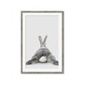 Picture of Bunny Bum  _GroupedProduct_Rectangle_Portrait_Mini_ _GroupedProduct_Rectangle_Portrait_Framed_Matted_