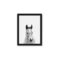 Picture of Cute Little Foal  _GroupedProduct_Rectangle_Portrait_Mini_ _GroupedProduct_Rectangle_Portrait_Framed_Matted_