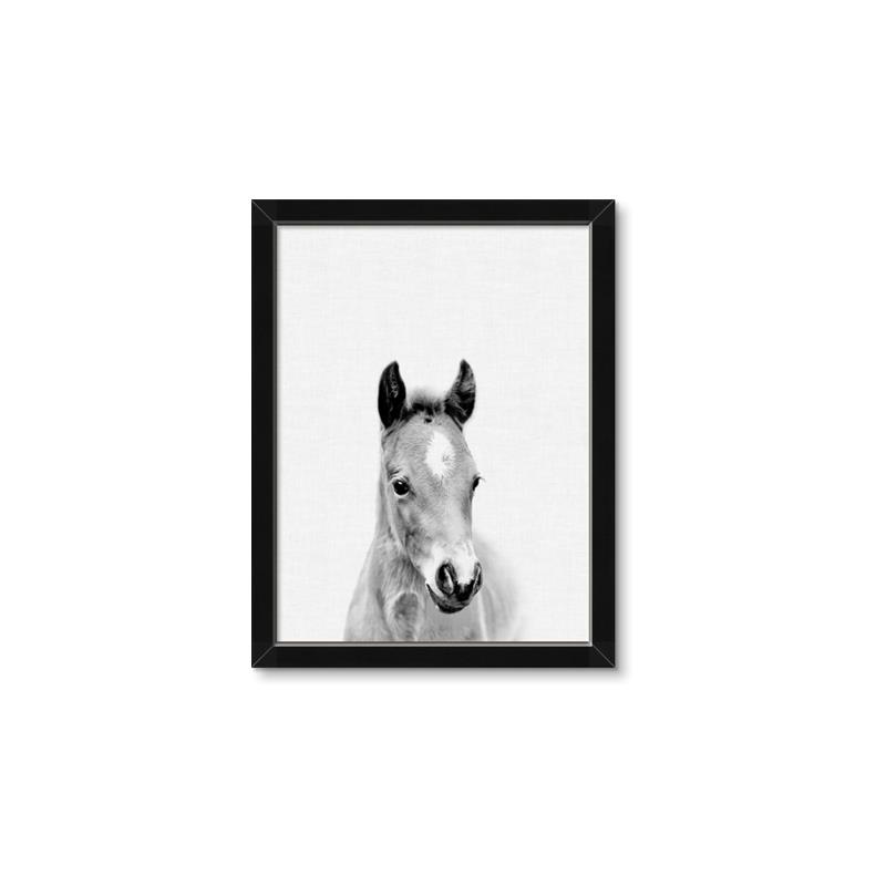 Picture of Cute Little Foal  _GroupedProduct_Rectangle_Portrait_Mini_ _GroupedProduct_Rectangle_Portrait_Framed_Matted_