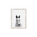 Picture of Cute Little Foal  _GroupedProduct_Rectangle_Portrait_Mini_ _GroupedProduct_Rectangle_Portrait_Framed_Matted_