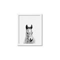 Picture of Cute Little Foal  _GroupedProduct_Rectangle_Portrait_Mini_ _GroupedProduct_Rectangle_Portrait_Framed_Matted_