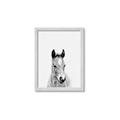 Picture of Cute Little Foal  _GroupedProduct_Rectangle_Portrait_Mini_ _GroupedProduct_Rectangle_Portrait_Framed_Matted_
