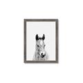 Picture of Cute Little Foal  _GroupedProduct_Rectangle_Portrait_Mini_ _GroupedProduct_Rectangle_Portrait_Framed_Matted_