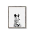 Picture of Cute Little Foal  _GroupedProduct_Rectangle_Portrait_Mini_ _GroupedProduct_Rectangle_Portrait_Framed_Matted_