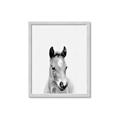 Picture of Cute Little Foal  _GroupedProduct_Rectangle_Portrait_Mini_ _GroupedProduct_Rectangle_Portrait_Framed_Matted_