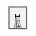 Picture of Cute Little Foal  _GroupedProduct_Rectangle_Portrait_Mini_ _GroupedProduct_Rectangle_Portrait_Framed_Matted_