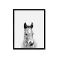 Picture of Cute Little Foal  _GroupedProduct_Rectangle_Portrait_Mini_ _GroupedProduct_Rectangle_Portrait_Framed_Matted_