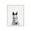 Picture of Cute Little Foal  _GroupedProduct_Rectangle_Portrait_Mini_ _GroupedProduct_Rectangle_Portrait_Framed_Matted_