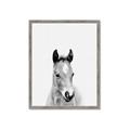 Picture of Cute Little Foal  _GroupedProduct_Rectangle_Portrait_Mini_ _GroupedProduct_Rectangle_Portrait_Framed_Matted_