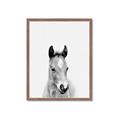 Picture of Cute Little Foal  _GroupedProduct_Rectangle_Portrait_Mini_ _GroupedProduct_Rectangle_Portrait_Framed_Matted_
