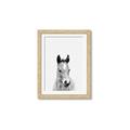 Picture of Cute Little Foal  _GroupedProduct_Rectangle_Portrait_Mini_ _GroupedProduct_Rectangle_Portrait_Framed_Matted_