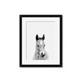 Picture of Cute Little Foal  _GroupedProduct_Rectangle_Portrait_Mini_ _GroupedProduct_Rectangle_Portrait_Framed_Matted_