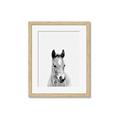 Picture of Cute Little Foal  _GroupedProduct_Rectangle_Portrait_Mini_ _GroupedProduct_Rectangle_Portrait_Framed_Matted_