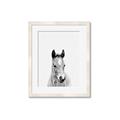 Picture of Cute Little Foal  _GroupedProduct_Rectangle_Portrait_Mini_ _GroupedProduct_Rectangle_Portrait_Framed_Matted_
