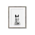 Picture of Cute Little Foal  _GroupedProduct_Rectangle_Portrait_Mini_ _GroupedProduct_Rectangle_Portrait_Framed_Matted_