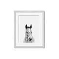 Picture of Cute Little Foal  _GroupedProduct_Rectangle_Portrait_Mini_ _GroupedProduct_Rectangle_Portrait_Framed_Matted_