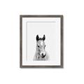 Picture of Cute Little Foal  _GroupedProduct_Rectangle_Portrait_Mini_ _GroupedProduct_Rectangle_Portrait_Framed_Matted_