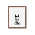 Picture of Cute Little Foal  _GroupedProduct_Rectangle_Portrait_Mini_ _GroupedProduct_Rectangle_Portrait_Framed_Matted_