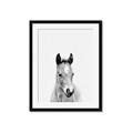 Picture of Cute Little Foal  _GroupedProduct_Rectangle_Portrait_Mini_ _GroupedProduct_Rectangle_Portrait_Framed_Matted_