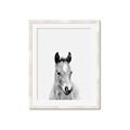 Picture of Cute Little Foal  _GroupedProduct_Rectangle_Portrait_Mini_ _GroupedProduct_Rectangle_Portrait_Framed_Matted_