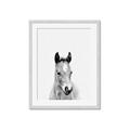 Picture of Cute Little Foal  _GroupedProduct_Rectangle_Portrait_Mini_ _GroupedProduct_Rectangle_Portrait_Framed_Matted_