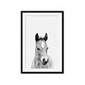 Picture of Cute Little Foal  _GroupedProduct_Rectangle_Portrait_Mini_ _GroupedProduct_Rectangle_Portrait_Framed_Matted_