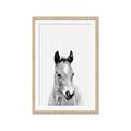Picture of Cute Little Foal  _GroupedProduct_Rectangle_Portrait_Mini_ _GroupedProduct_Rectangle_Portrait_Framed_Matted_