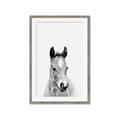 Picture of Cute Little Foal  _GroupedProduct_Rectangle_Portrait_Mini_ _GroupedProduct_Rectangle_Portrait_Framed_Matted_