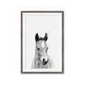 Picture of Cute Little Foal  _GroupedProduct_Rectangle_Portrait_Mini_ _GroupedProduct_Rectangle_Portrait_Framed_Matted_