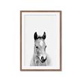 Picture of Cute Little Foal  _GroupedProduct_Rectangle_Portrait_Mini_ _GroupedProduct_Rectangle_Portrait_Framed_Matted_