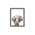 Picture of Safari Elephant _GroupedProduct_Rectangle_Portrait_Mini_ _GroupedProduct_Rectangle_Portrait_Framed_Matted_