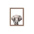 Picture of Safari Elephant _GroupedProduct_Rectangle_Portrait_Mini_ _GroupedProduct_Rectangle_Portrait_Framed_Matted_