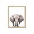 Picture of Safari Elephant _GroupedProduct_Rectangle_Portrait_Mini_ _GroupedProduct_Rectangle_Portrait_Framed_Matted_