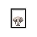 Picture of Safari Elephant _GroupedProduct_Rectangle_Portrait_Mini_ _GroupedProduct_Rectangle_Portrait_Framed_Matted_